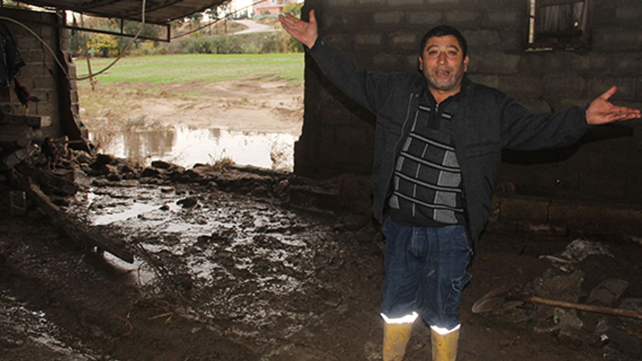 Sel ahırı yıktı, horozlar telef oldu