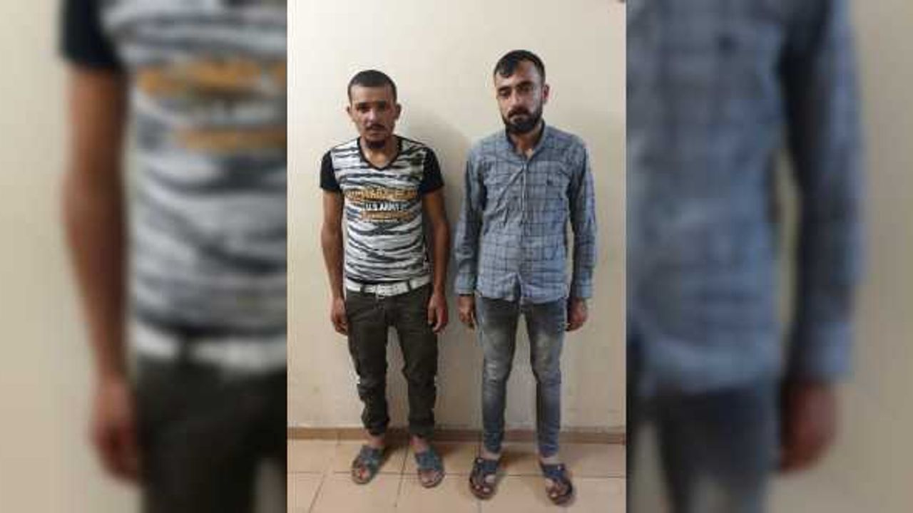 Adana'da otomobilde uyuşturucu arayan polis ölü yabani kuş buldu