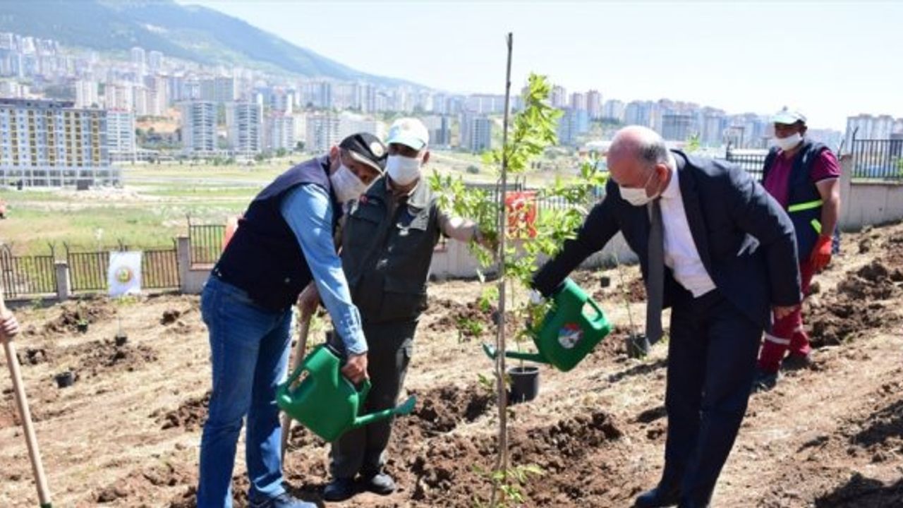 Kahramanmaraş'ta Kovid-19 ile mücadele eden sağlık çalışanları için 400 fidan dikildi