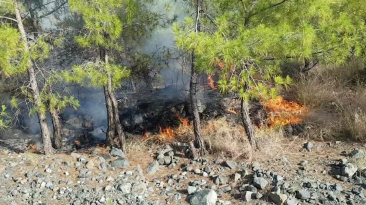 Hatay'daki orman yangınında 2 hektar alanda zarar oluştu