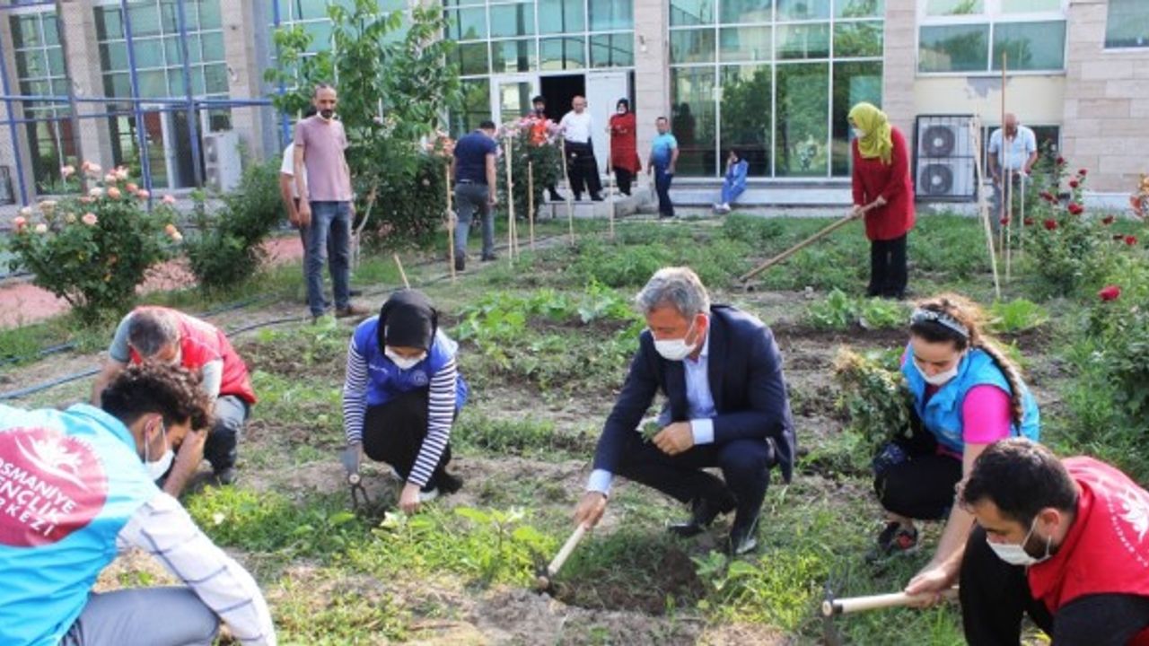 Gençlerin yetiştirdiği meyve ve sebzeler ihtiyaç sahiplerini sevindiriyor