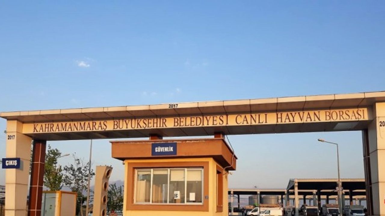 Kahramanmaraş Canlı Hayvan Borsası yeniden hizmete açıldı