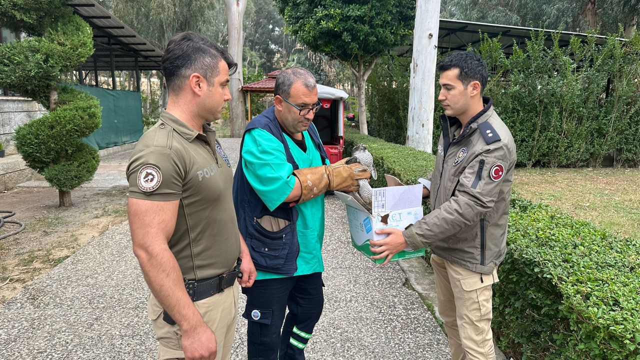 HAYDİ EKİPLERİ, UÇAN KUŞA GÜVEN VERİYOR