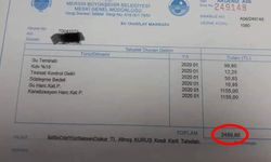 Bu bedeller doğru mu?
