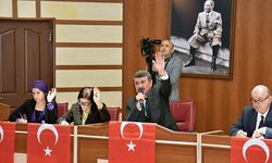 Meclis'te Türk Bayraklı tepki