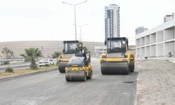 Adana'da yol, sahil temizliği, ilaçlama ve dere ıslahı çalışmaları