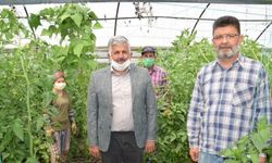 AK Parti İlçe Başkanı Uysal: "Çiftçilerimiz üretime devam ediyor"
