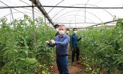 Antalya'da 130 bin çiftçi üretime hız kesmeden devam ediyor