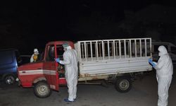 Antalya’da tamir için sanayiye getirilen kamyonette bir kişi ölü bulundu