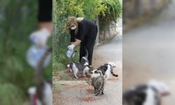 Hayvanserver kadın sokak hayvanlarını unutmuyor