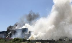 GÜNCELLEME - Mersin'de narenciye paketleme fabrikasında çıkan yangın kontrol altına alındı
