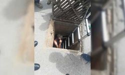 Karantina bölgesine kanalizasyondan girmeye çalışırken mahsur kalan kişi kurtarıldı