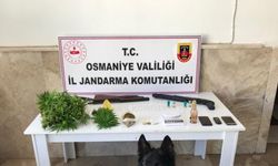 Osmaniye'de uyuşturucu ticareti iddiasıyla bir şüpheli tutuklandı