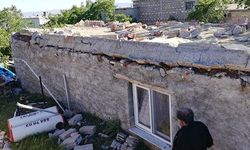 Şiddetli rüzgar ağaçları devirdi