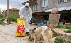 Türkiye Petrolleri’nden sokak hayvanlarına mama desteği