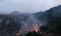 Adana'da ağaçlık alanda çıkan yangın kontrol altına alındı