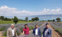 AK Parti Burdur Milletvekili Özçelik, turistleri lavanta bahçelerine davet etti