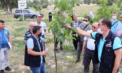Erdemli'de vatandaşlara fidan ve ağaç bakımı eğitimi