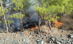 Hatay'daki orman yangınında 2 hektar alanda zarar oluştu