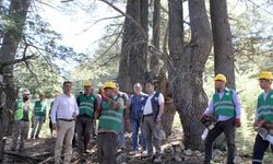 Mersin Orman Bölge Müdürü Akduman'dan orman işçilerine ziyaret