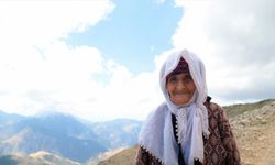 Uludaz Tepesi'ndeki uğur böceklerine vatandaş ilgisi