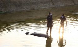 Adana'da akıntıya kapılan köpeği kurtarmak isterken sulama kanalına düşen gencin cesedi bulundu
