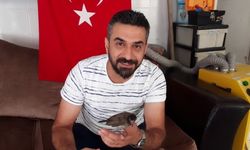 Adana'da annesiz kalan Arap bülbülü yavrusuna esnaf sahip çıktı
