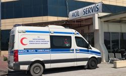 Adana'da arının soktuğu kişi hastaneye kaldırılırken öldü