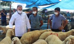 Adana'da Kurban Bayramı öncesi hayvan satış yerlerinde denetim
