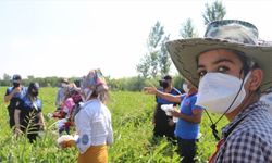 Adana'da polis tarım işçilerine maske dağıttı