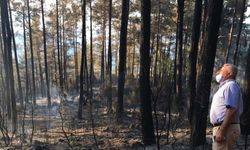 Burdur'daki orman yangınının mangaldan çıktığı tespit edildi