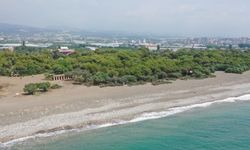 Erdemli Talat Göktepe Tabiat Parkın'da temizlik çalışmaları