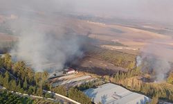 Hatay'da çiftlik yangını