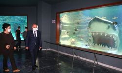 Keçiören'de teleferik ve Deniz Dünyası bayram boyunca ücretsiz