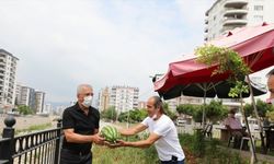 Mezitli'de Fitnat Gürsoy Kafe Kütüphanesi bahçesine ekilen sebzeler hasat edildi