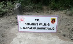 Osmaniye'de sit alanında kaçak kazı yaptıkları iddiasıyla 2 zanlı yakalandı
