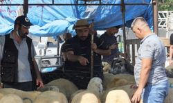 Osmaniye'deki kurban pazarında arife günü hareketliliği