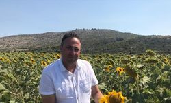 Tarsus’ta 12 bin ton ayçiçeği rekoltesi bekleniyor
