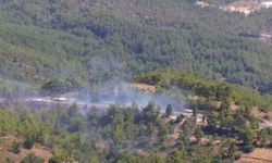 Antalya'da çıkan orman yangını hava ve karadan müdahaleyle söndürüldü