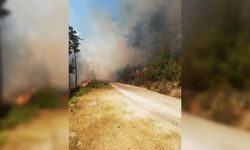 GÜNCELLEME - Adana'da orman yangını