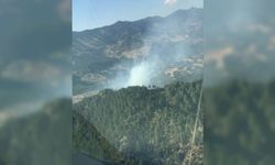 Kahramanmaraş'ta 4 hektar ormanlık alan yandı