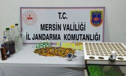 Mersin'de kumar oynayan 35 kişiye para cezası