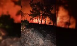 Mersin'de ormanlık alanda çıkan yangın söndürüldü