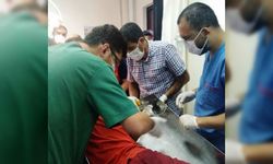 Osmaniye'de elini salça çekme makinesine kaptıran çocuk yaralandı