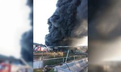 Adana'da fide üretim tesisinde çıkan yangına müdahale ediliyor
