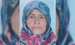 Alanya'da eğilimli arazide yamaçtan düşen kadın öldü