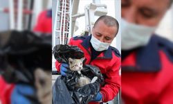 Mersin'de binanın 9. katında mahsur kalan kedi yavrusu kurtarıldı