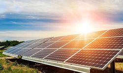 Enerji sektörü güneş tarlası bekliyor!