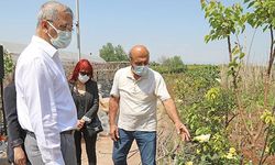 Başkan Tarhan, gönüllüler serasını ziyaret etti