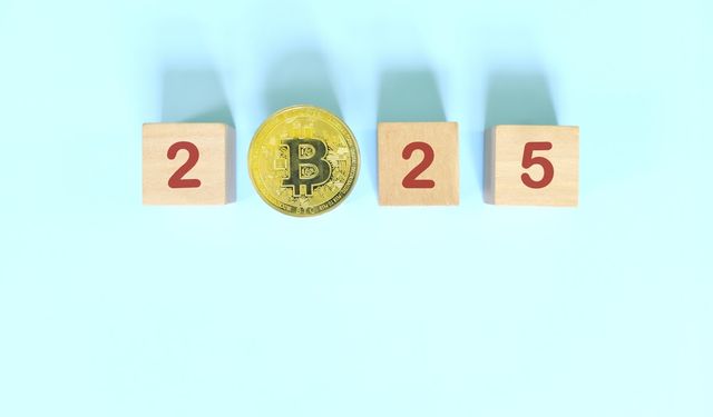 2025’te Bitcoin sahibi ülke sayısı ikiye katlanacak